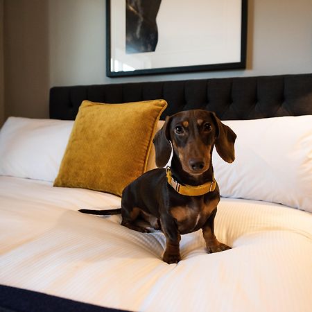 Voco™ Kirkton Park Hunter Valley, An Ihg Hotel Pokolbin Extérieur photo