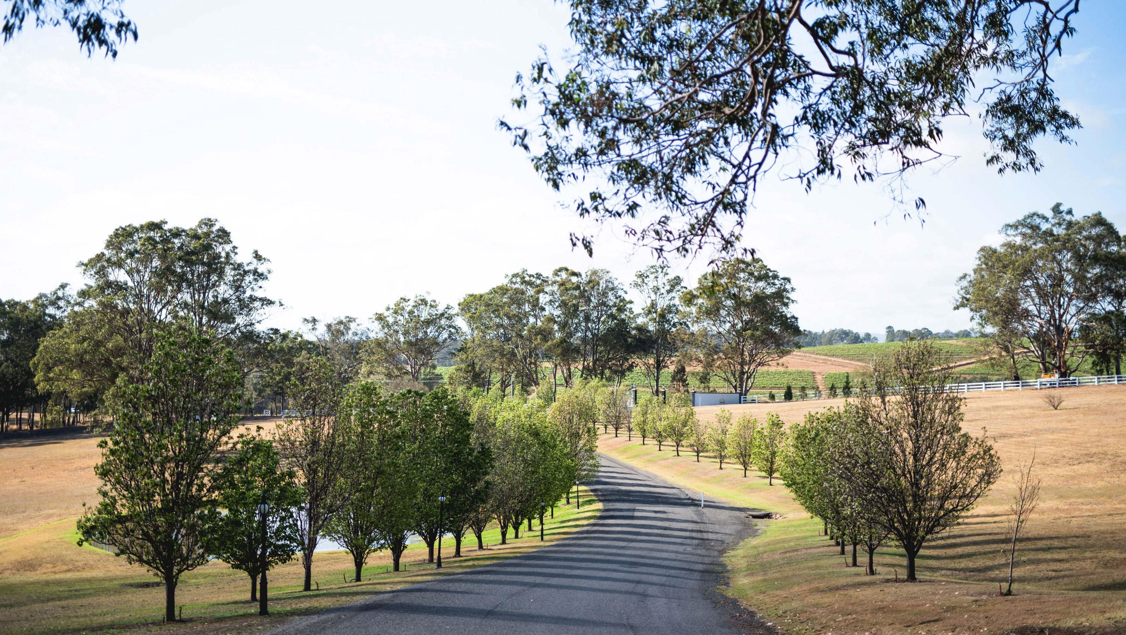Voco™ Kirkton Park Hunter Valley, An Ihg Hotel Pokolbin Extérieur photo