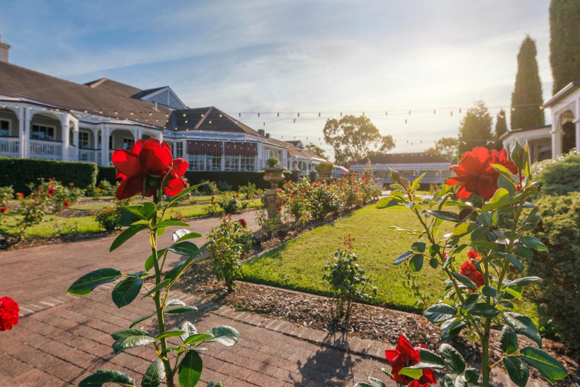 Voco™ Kirkton Park Hunter Valley, An Ihg Hotel Pokolbin Extérieur photo
